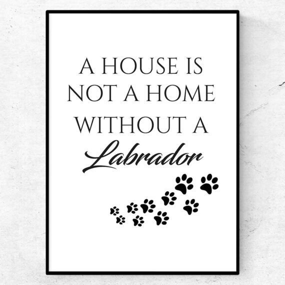 a house is not a home without a labrador poster tavla hund