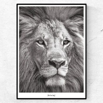 the lion king lejon poster