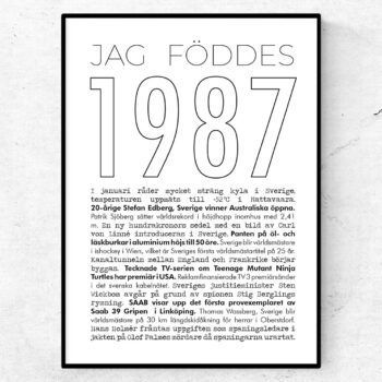 1987 linje poster