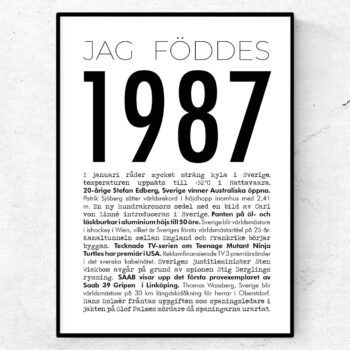 1987 modern poster