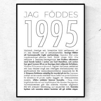 1995 linje poster