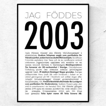 2003 modern poster