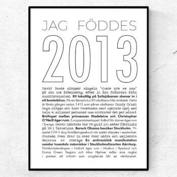 2013 linje poster