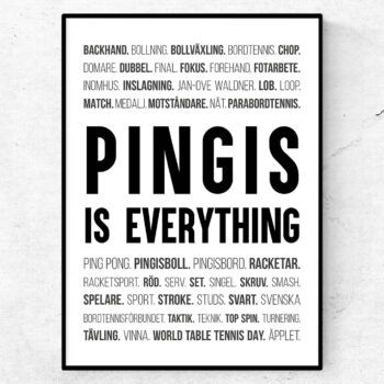 pingis is everything sport termer ord bordtennis